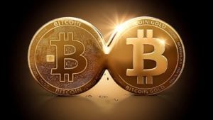 A concept coin for Bitcoin Gold (BTG) next to Bitcoin (BTC).