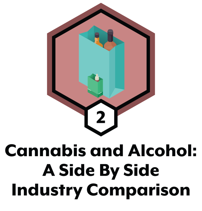 Cannabis and alcohol a side by side comparison Part 2 of 5