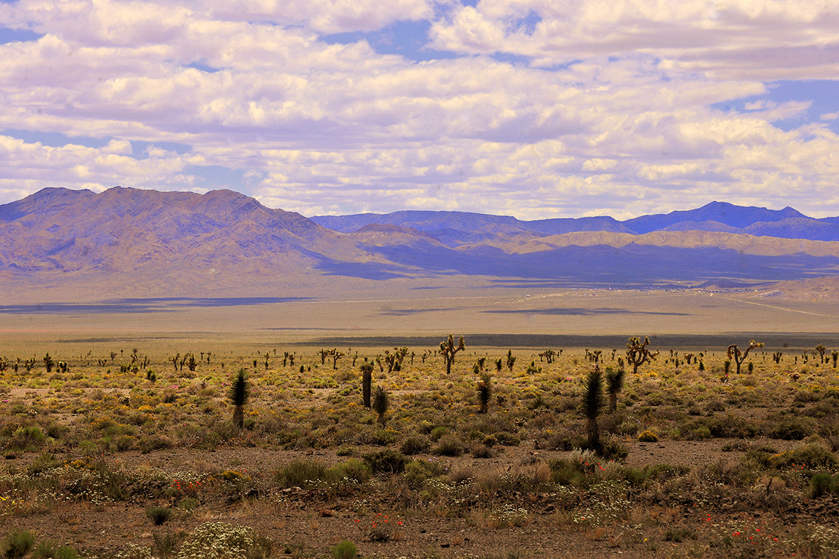 Nevada Sunrise receives permit; drilling planned at Gemini Lithium Project,  Nevada - NXTmine
