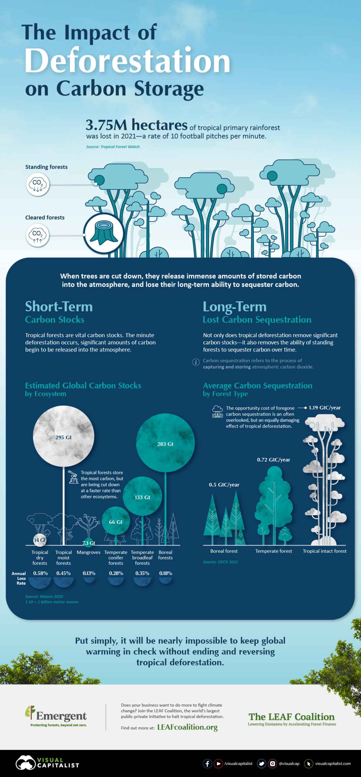 graphic showing the impacts of deforestation both short and long term