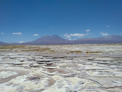 Photo 1. Salar de Turi looking to the northeast. (CNW Group/Monumental Minerals Corp.)
