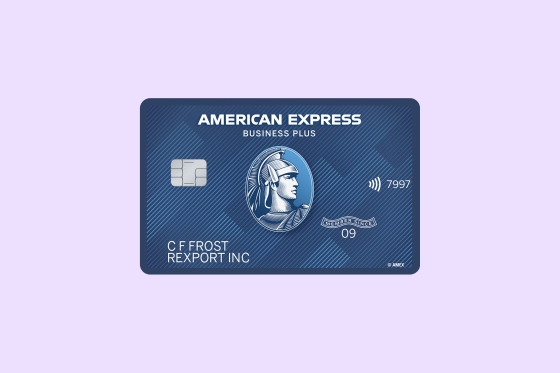 The Blue BusinessÂ® Plus Credit Card from American Express