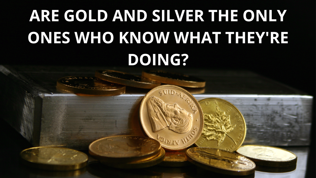 Are gold and silver the only ones who know what they're doing?