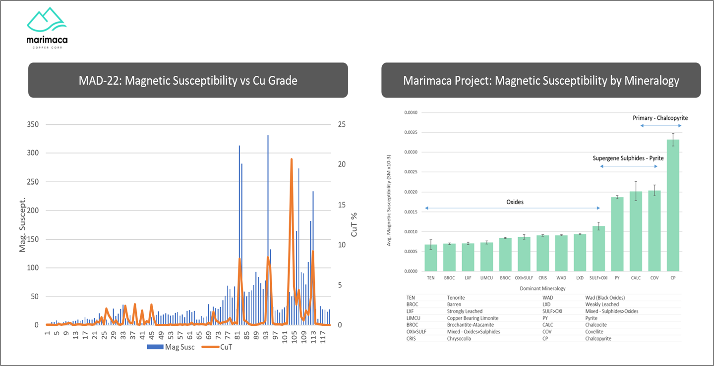 Relationship of Magnetic Susceptibility and Drilling Across the Project