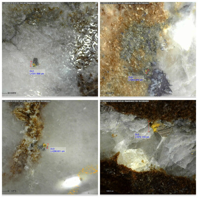 Figure 4: Examples of Visible Gold Observed in DDRCCC-23-042 (CNW Group/[nxtlink id=